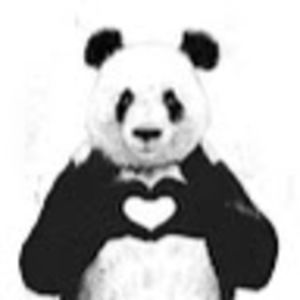 Meet your Posher, Yitong